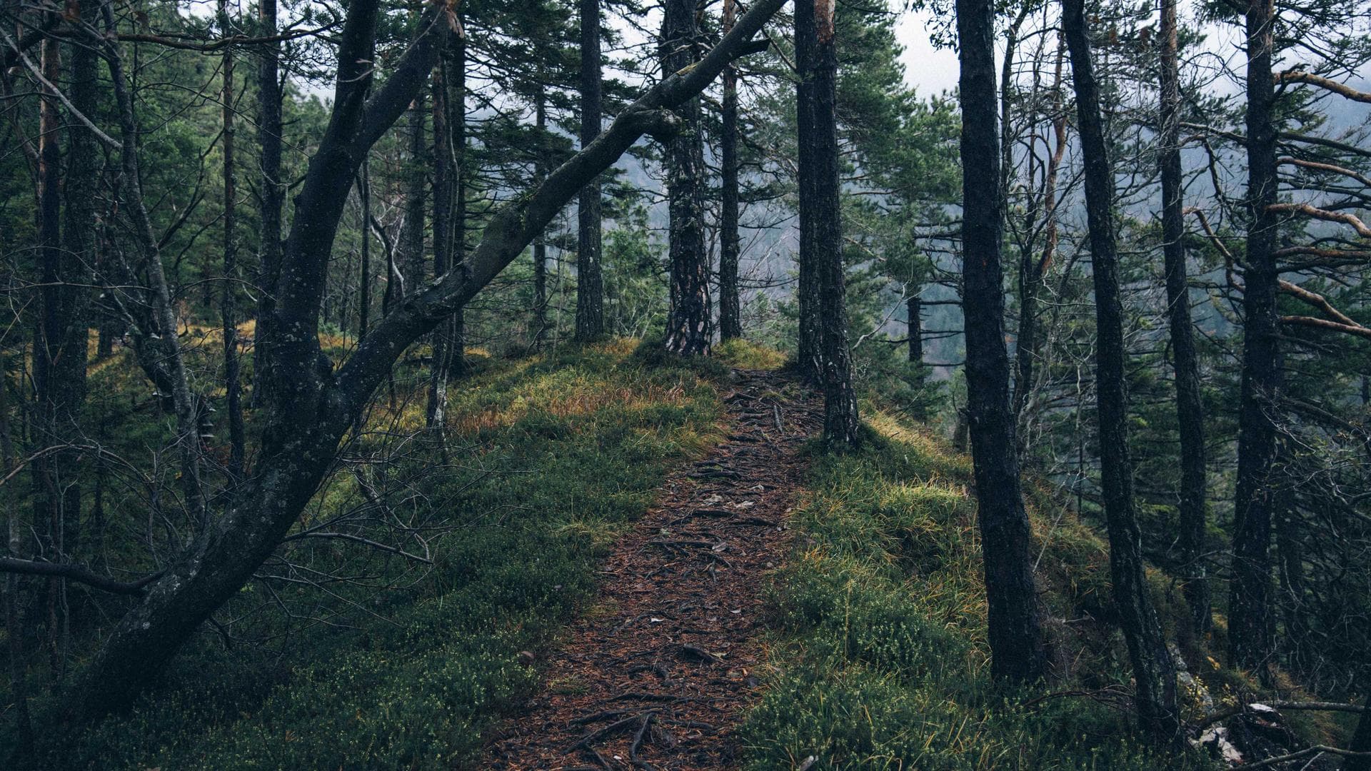 A person working out in a modern gym